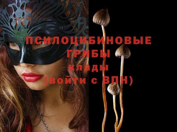 крисы Кинешма