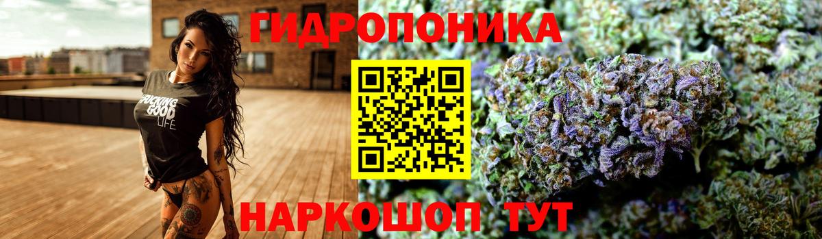 Бошки Шишки LSD WEED  Бошки марихуана сатива  Вход с VPN  Канабис конопля  Саров 